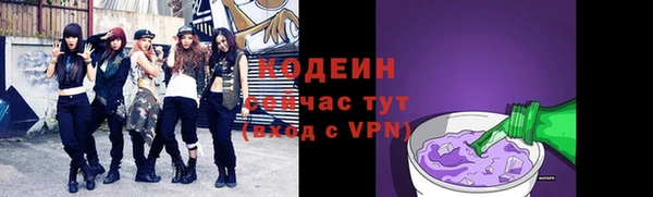 прущие грибы Долгопрудный