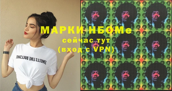 прущие грибы Долгопрудный