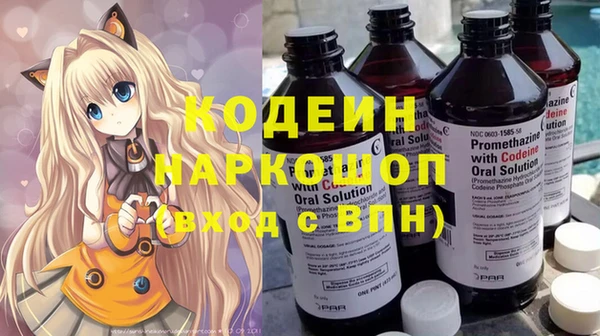 индика Балабаново
