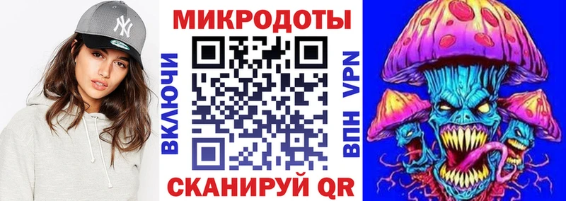 как найти   Енисейск  Галлюциногенные грибы Psilocybe 